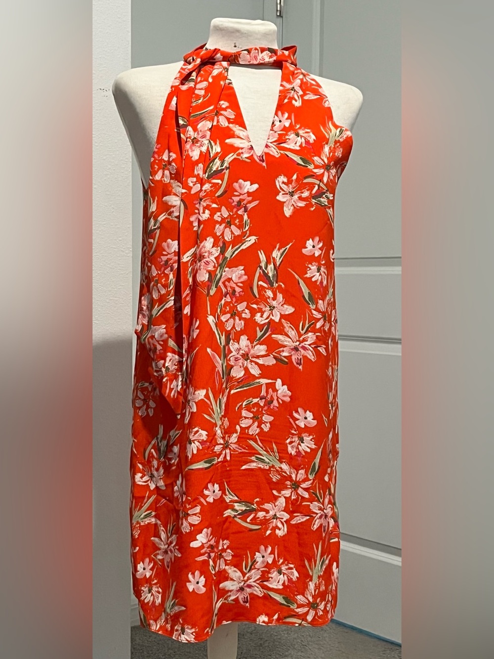 Naked Zebra Red Floral Print Mini